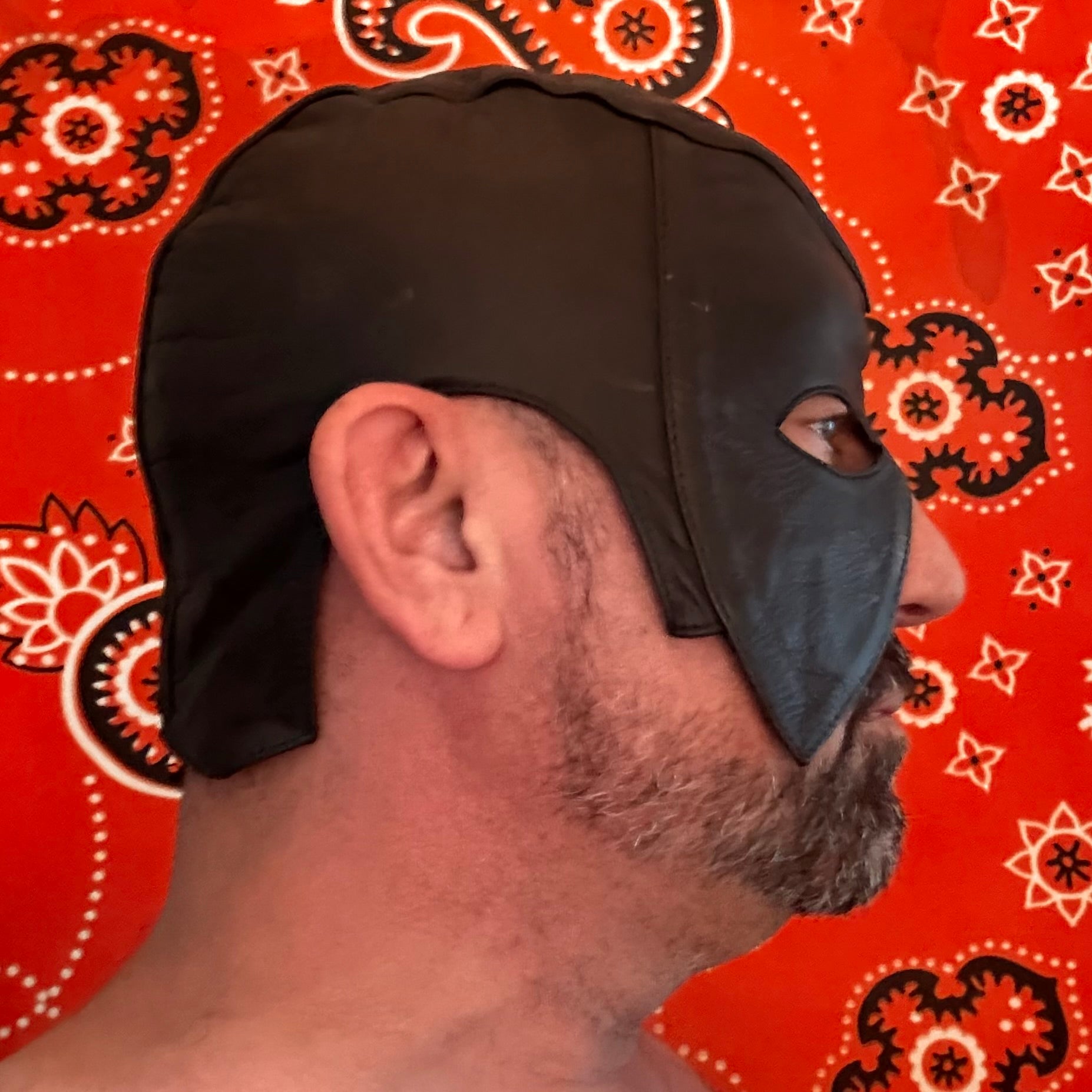 Adjustable Leather Executioner's Mask