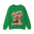 Santa Is Cumming Gildan Pullover