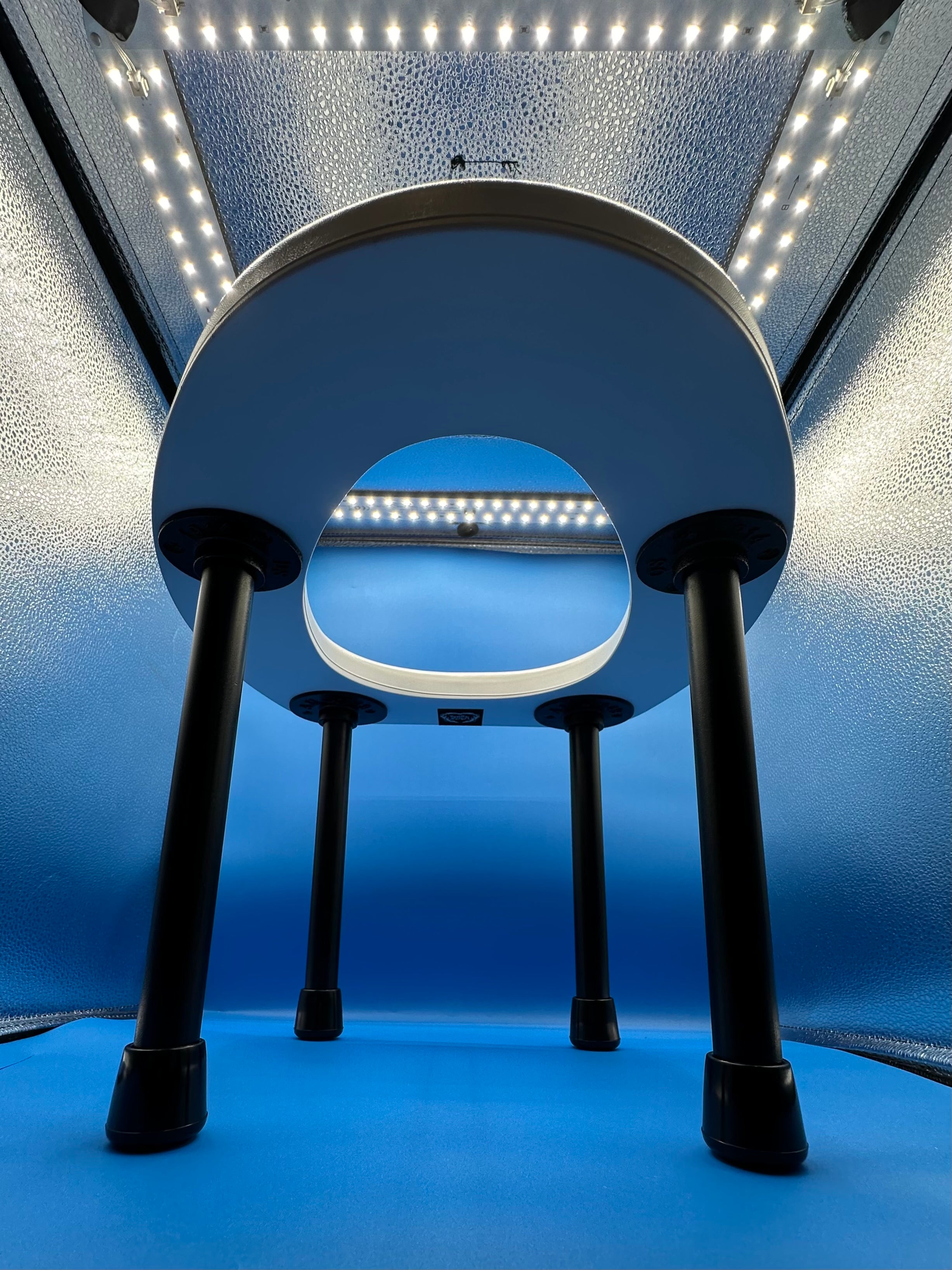 The Dick Dangler Rim Seat