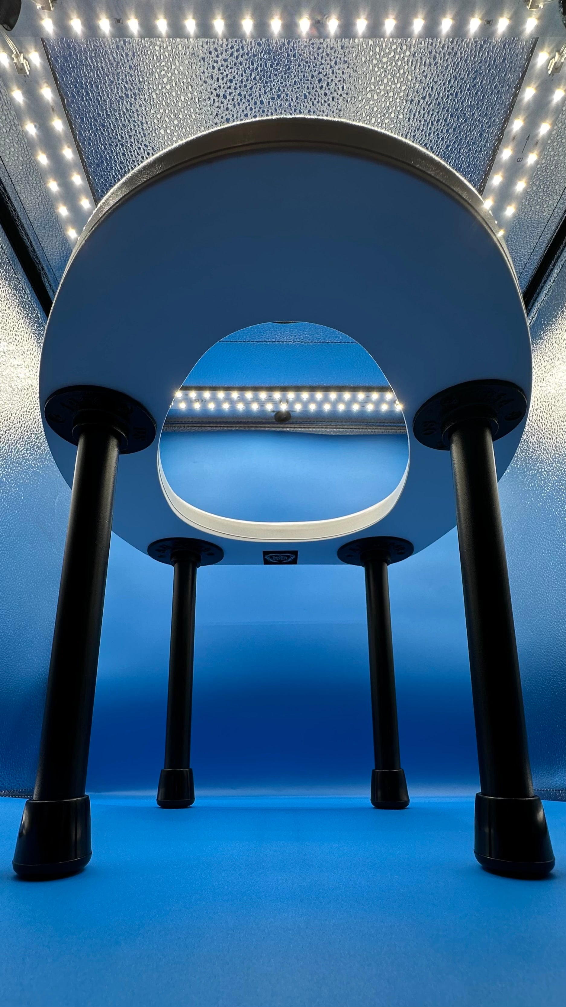 The Dick Dangler Rim Seat
