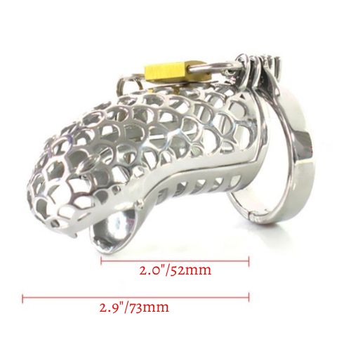 Stainless Serpent Chastity Cage