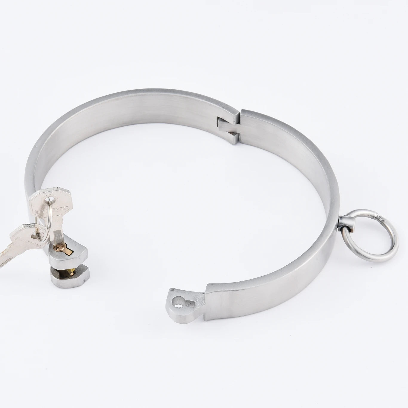 Slave Collar