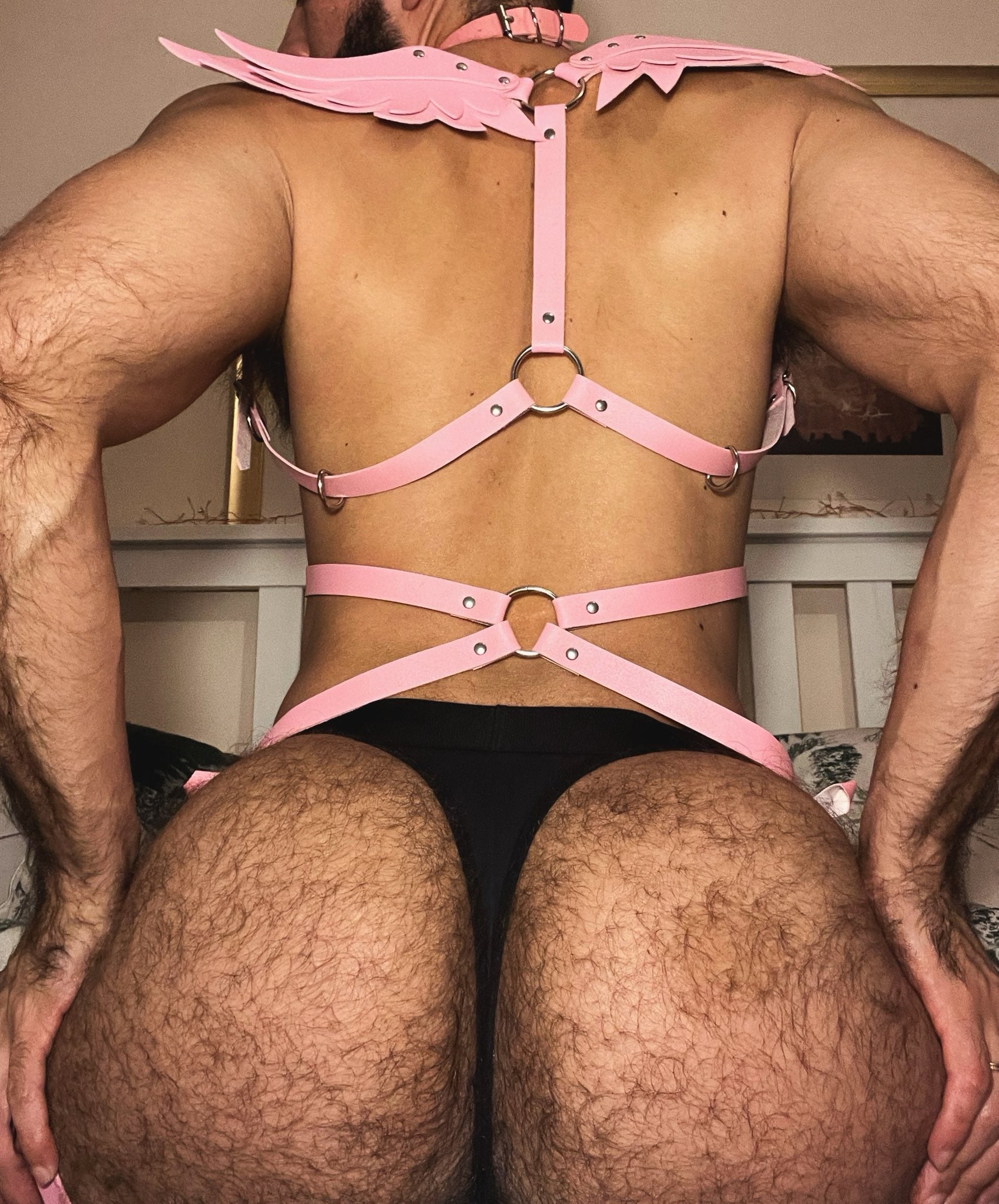 Broken Angel Sissy Harness