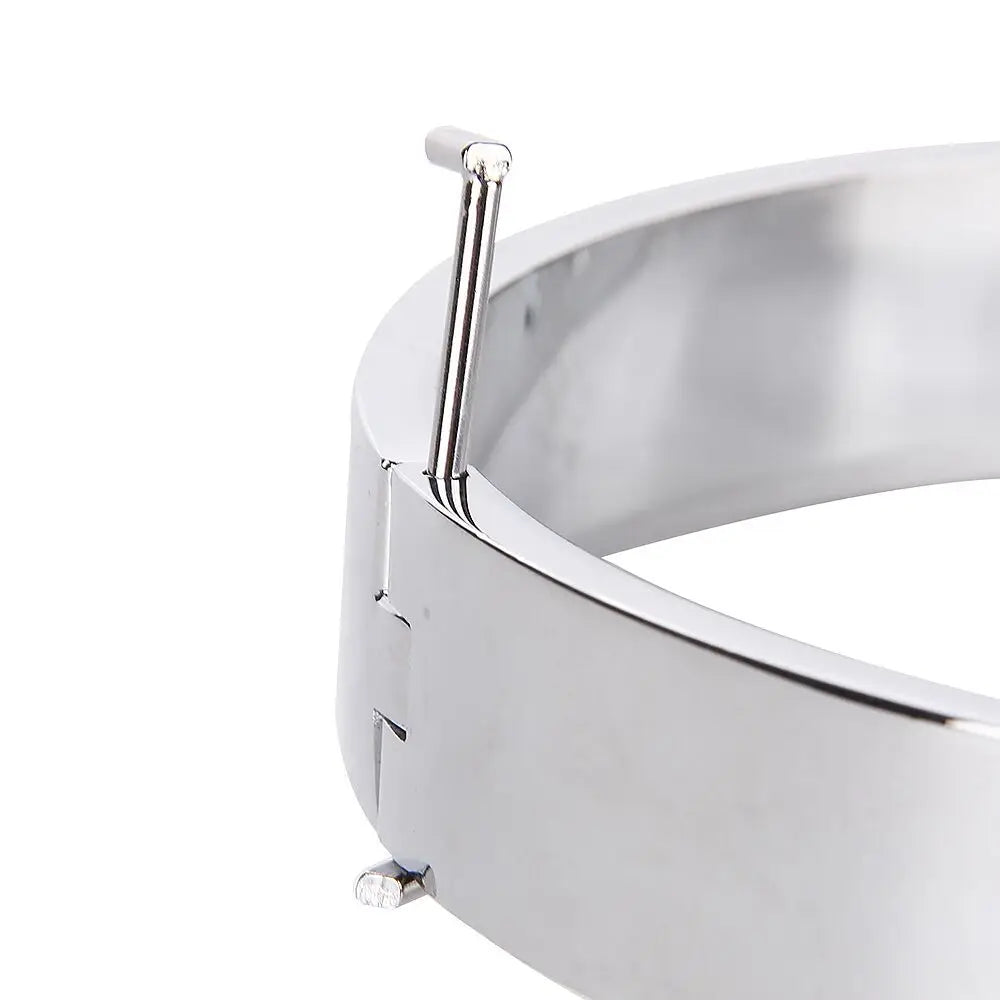 Slave Collar