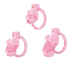 Pussy Boy Chastity Cage