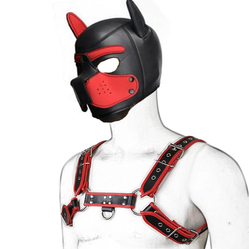 J Rue Pup Play Starter Set