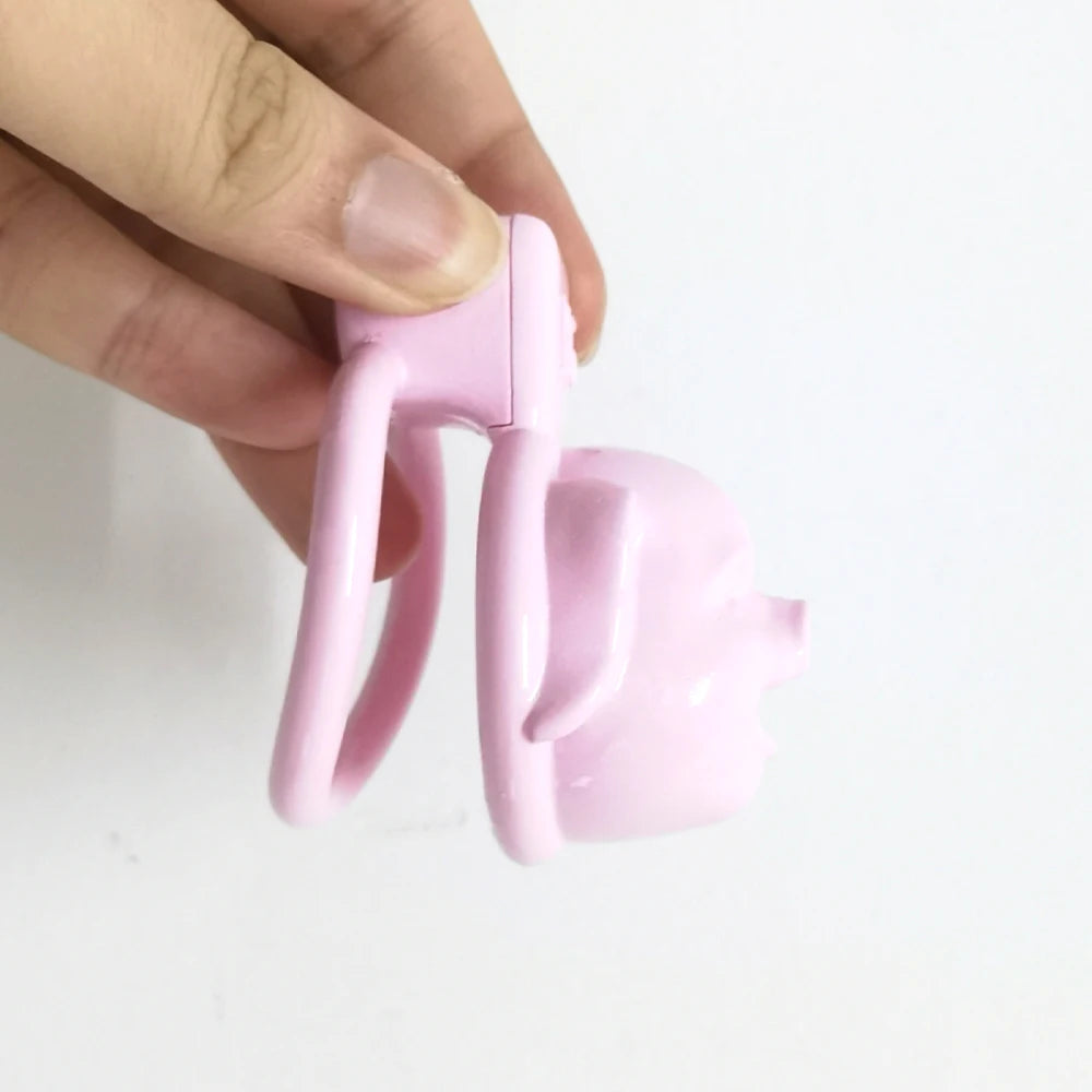 Dirty Pig Chastity - Chastity Cages - Twisted Jezebel