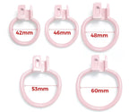 Dirty Pig Chastity - Chastity Cages - Twisted Jezebel