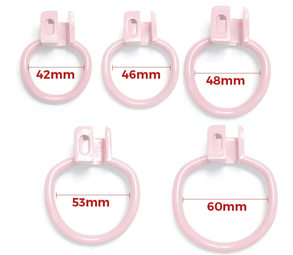 Dirty Pig Chastity - Chastity Cages - Twisted Jezebel