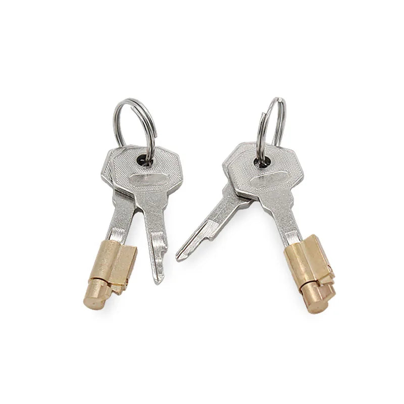 Chastity Device Replacement Lock & Keys - Chastity Cages - Twisted Jezebel