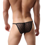 Lace Fishnet Low-waist Briefs - Panties - Twisted Jezebel